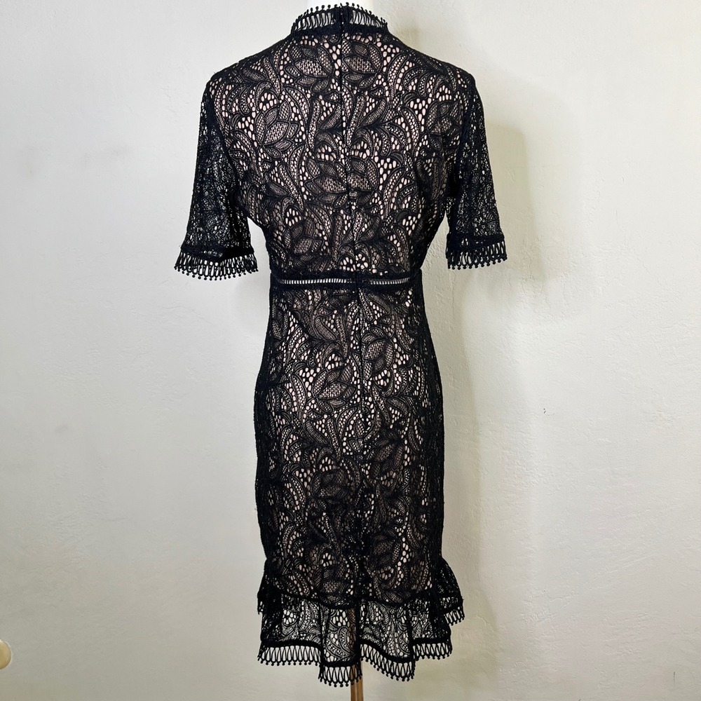 Bardot Black Lace Mock Neck Knee Length Dress Sheath Theodora‎ Size 8 / Medium - Picture 5 of 12